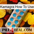 Kamagra How To Use new09